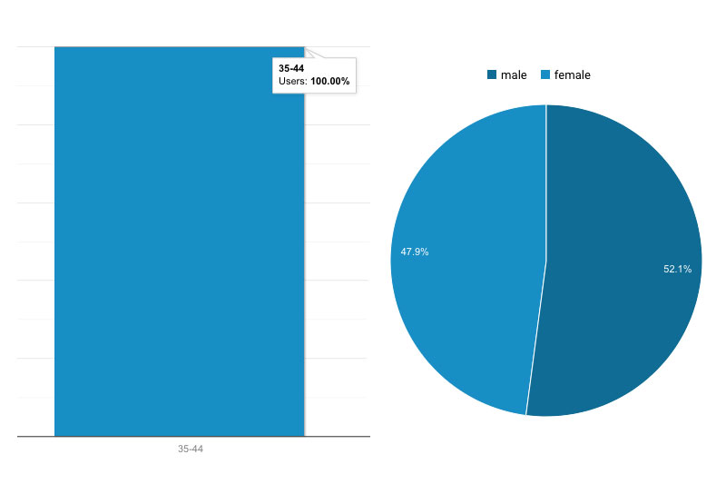 Google Analytics — User Demographics